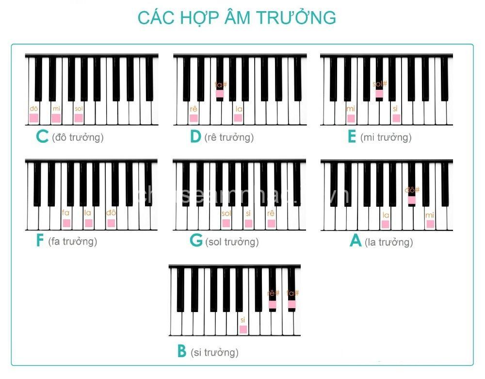 Hướng dẫn chơi piano với hợp âm cơ bản | Học đánh hợp âm & ứng dụng trong bài hát