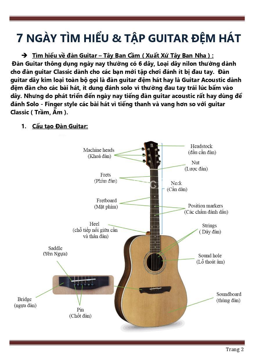 Học Đàn Guitar Cho Người Mới: Chọn Đàn & Kỹ Năng Cơ Bản