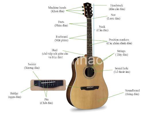 Các Loại Nut Guitar Phổ Biến & Cách Lựa Chọn Tốt Nhất