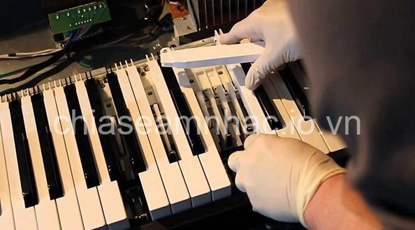 Sửa chữa đàn piano bị rè âm: Nguyên nhân và cách khắc phục hiệu quả